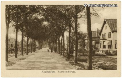 Appingedam, Farmsummerweg ansichtkaart: Appingedam, Farmsummerweg