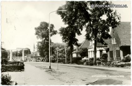 Appingedam, Farmsummerweg ansichtkaart: Appingedam, Farmsummerweg