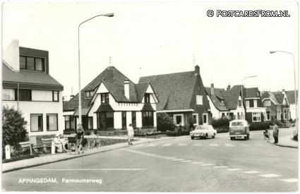 Appingedam, Farmsummerweg ansichtkaart: Appingedam, Farmsummerweg