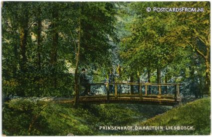 ansichtkaart: Princenhage, Dwaaltuin Liesbosch