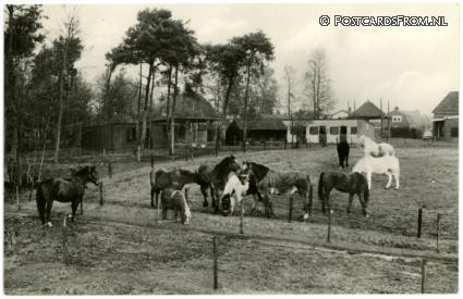 ansichtkaart: Soest, Nationaal Rusthuis voor Paarden