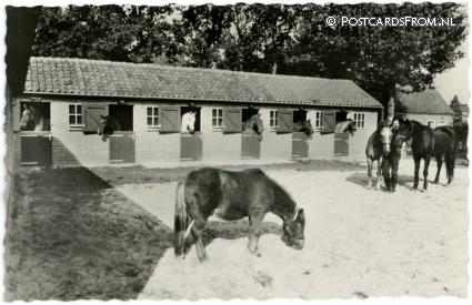 ansichtkaart: Soest, Stichting 'De Paardenkamp' Rusthuis voor Paarden