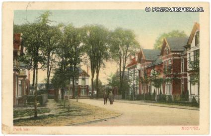 ansichtkaart: Meppel, Parklaan