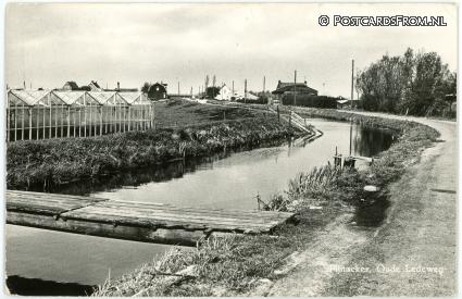 ansichtkaart: Pijnacker, Oude Ledeweg