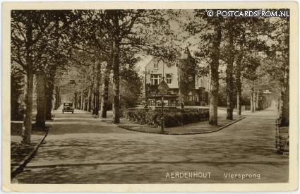 ansichtkaart: Aerdenhout, Viersprong