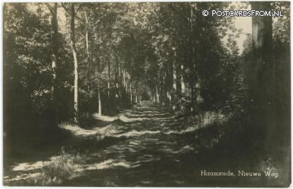Burgh-Haamstede, Nieuwe Weg ansichtkaart: Burgh-Haamstede, Nieuwe Weg