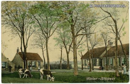 ansichtkaart: Westenschouwen, --