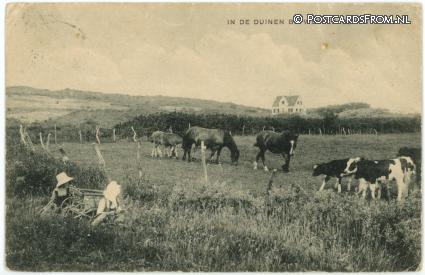 ansichtkaart: Westenschouwen, In de Duinen