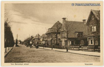 ansichtkaart: Veendam, Van Beresteyn straat