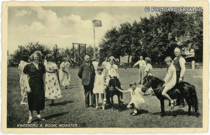 Monster, Kweekerij A. Boon ansichtkaart: Monster, Kweekerij A. Boon