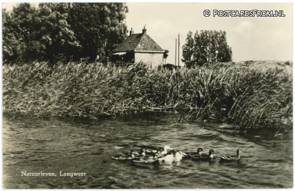 ansichtkaart: Langweer, Natuurleven