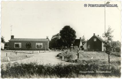 ansichtkaart: Hoogerheide, Schapendreef