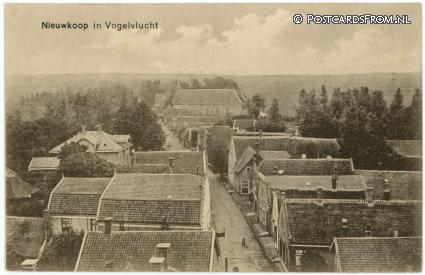 ansichtkaart: Nieuwkoop, In Vogelvlucht