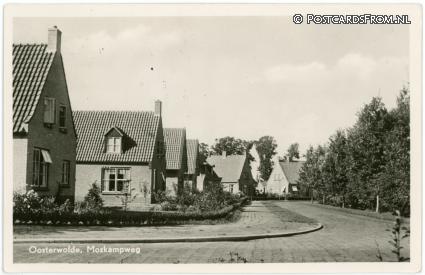 Oosterwolde FR, Moskampweg ansichtkaart: Oosterwolde FR, Moskampweg