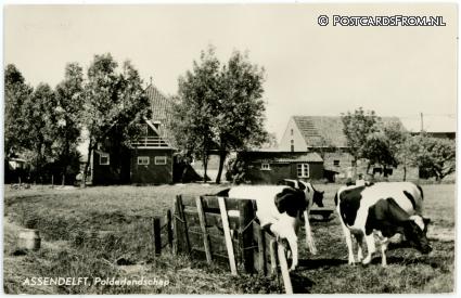 Assendelft, Polderlandschap ansichtkaart: Assendelft, Polderlandschap