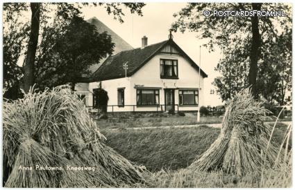 ansichtkaart: Anna Paulowna, Kneesweg